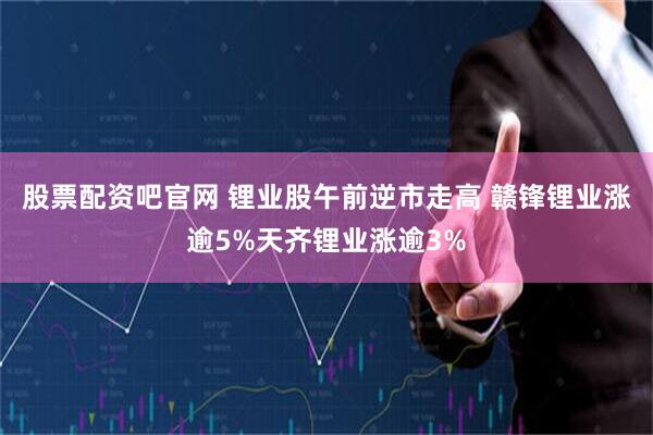 股票配资吧官网 锂业股午前逆市走高 赣锋锂业涨逾5%天齐锂业涨逾3%