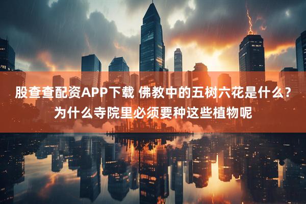 股查查配资APP下载 佛教中的五树六花是什么？为什么寺院里必须要种这些植物呢